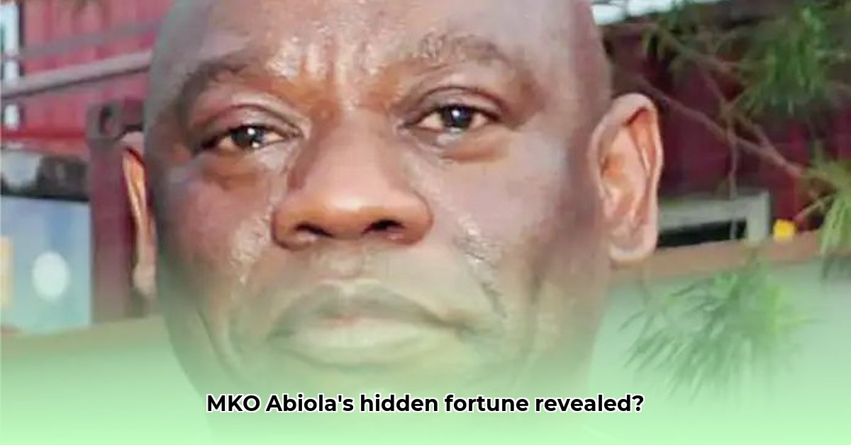 m-k-o-abiola-net-worth